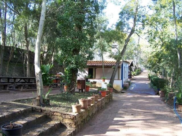 Alojamento Local Boavistense Οντεμίρα Εξωτερικό φωτογραφία